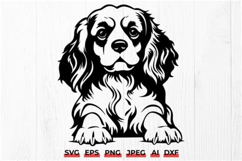 Cute Cavalier King Charles Spaniel Puppy Graphic by juicebox739 · Creative Fabrica