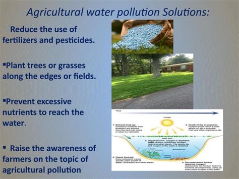 Water Pollution Solutions / Kvabgha Public School by waterpollutionandsolutions - Issuu