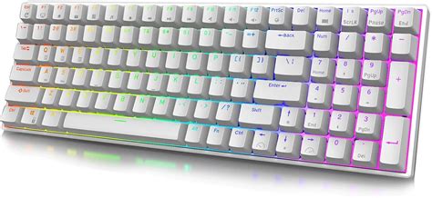 Amazon.com: RK ROYAL KLUDGE RK100 2.4G Wireless/Bluetooth/Wired RGB Mechanical Keyboard, 100 ...