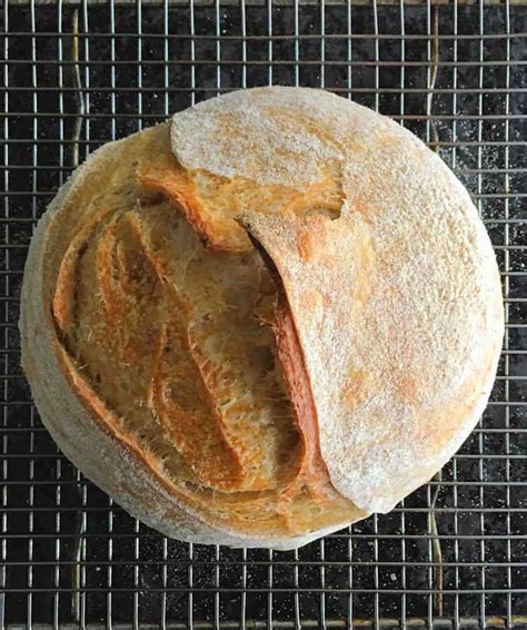 San Francisco Sourdough | Recipe | Cuisine Fiend