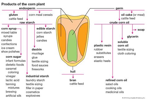 Corn syrup | Ingredients, Preparation, & Uses | Britannica