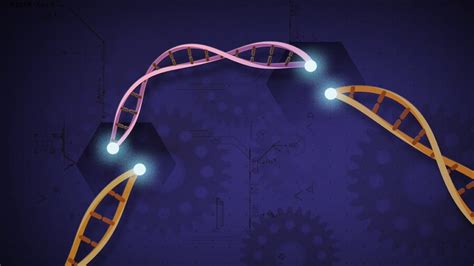 Super-Precise CRISPR Gene Editing Tool Could Tackle Tough Genetic Diseases