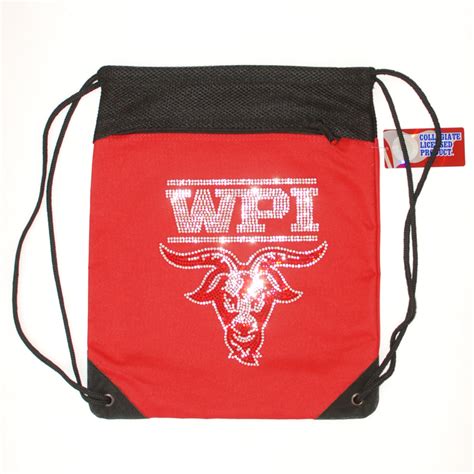 WPI Logo and Goat Mascot - Sparkle Gear