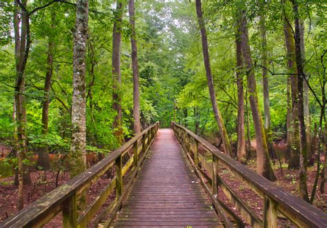 Congaree National Park - AdventureHacks