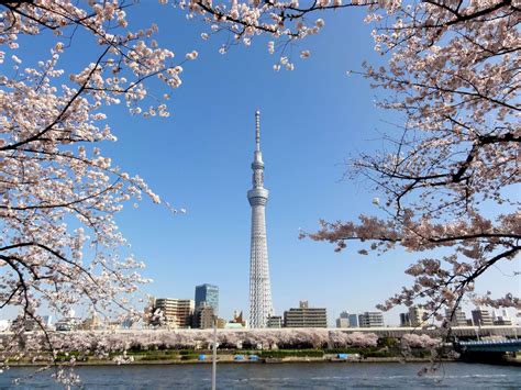 Tokyo Skytree Wallpapers - Wallpaper Cave