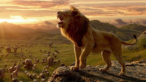 Lion King Mufasa Wallpaper
