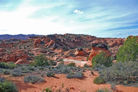 Snow Canyon State Park Petroglyphs - Hike St George