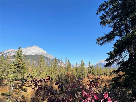 13 Things To Do In Canmore You Can't Miss! - Wander Era