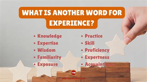 What is another word for Experience? Sentences, Antonyms and Synonyms for Experience - Your Info ...