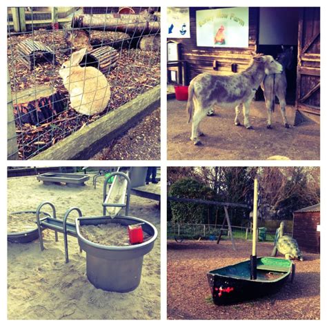 Family day out: Fun with animals and play at Battersea Park Children's ...