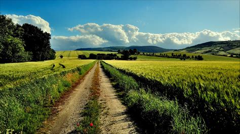 nature, Landscape, Path, Farm, Dirt Road Wallpapers HD / Desktop and ...