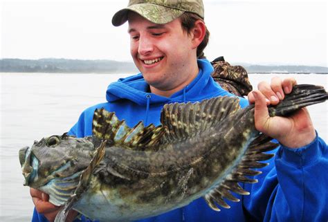 Newport Marina Store & Yaquina Bay Charters | Oregon Coast Fishing Charters, Boat Rentals, Bait ...