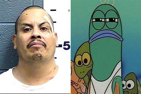 Image Tagged In Squidward Handsome Mugshot Spongebob - vrogue.co