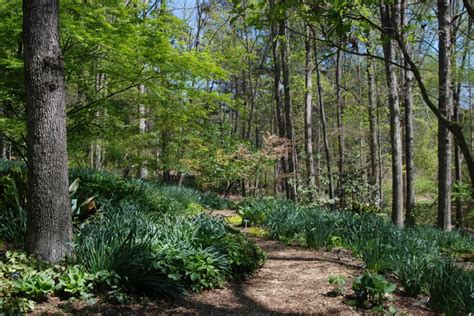 The South Carolina Botanical Garden In Clemson SC