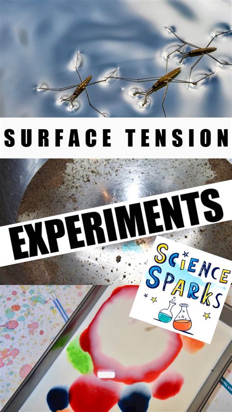 Surface Tension of Water Demonstration | Water science experiments, Surface tension, Science for ...