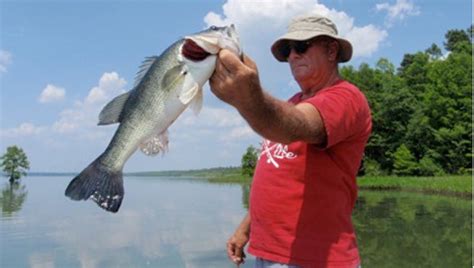 Lake Phelps bass tops for N.C. coastal fishing - Washington Daily News | Washington Daily News