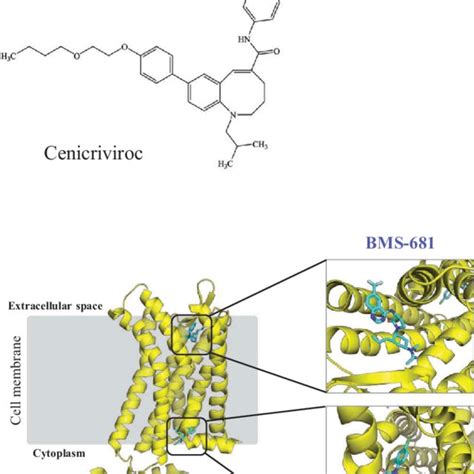 Structures of CXCR4 antagonists and their mechanisms of action. (a ...