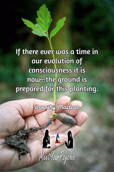 If there ever was a time in our evolution of consciousness it is now—the ground is prepared for ...