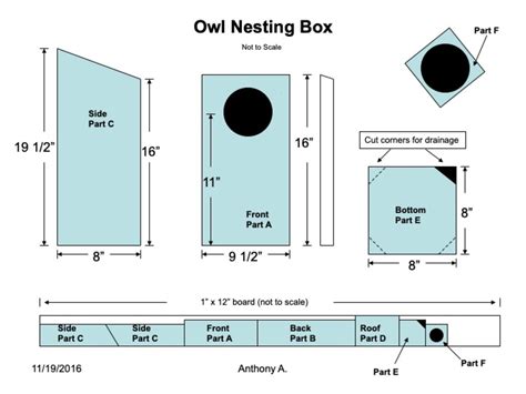 Screech Owl House Plans: How to Build a Screech Owl Box | FeltMagnet