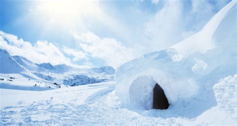 Ice Caves: Surviving Harsh Conditions In A Wild Winter Environment