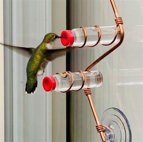 Window Hummingbird Feeder Home Depot - Goimages Garden