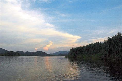 Tasik Chini retains Unesco status | The Star