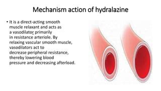 Synthesis of hydralazine | PPT