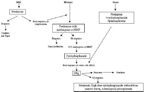 Algorithmic approach to the treatment of pemphigus...