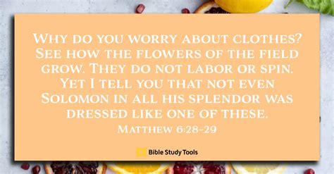 How Springtime Flowers Teach Us (Matthew 6:28–29) - Your Daily Bible ...