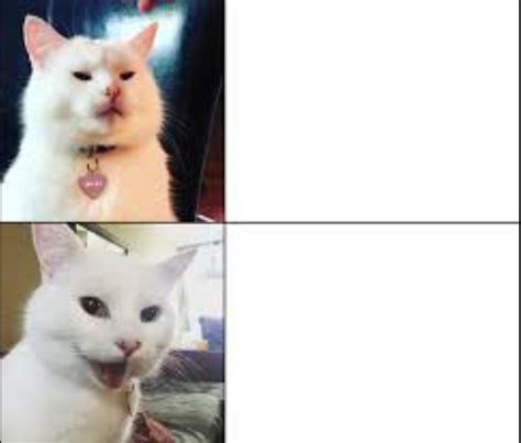 Smudge cat Blank Template - Imgflip