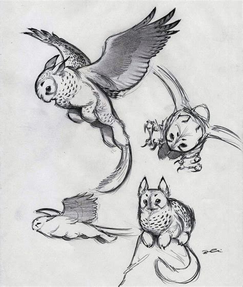 How does imgur feel about tiny gryphons? | Creature drawings, Animal drawings, Mythical ...