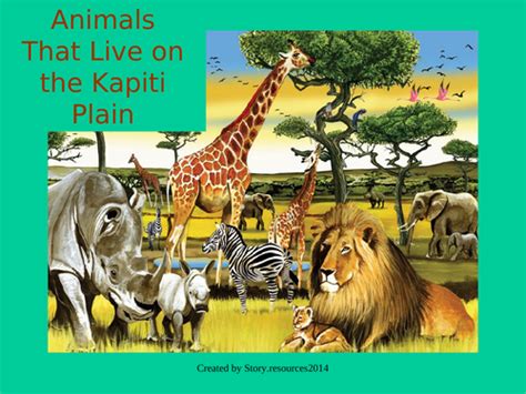 BRINGING THE RAIN TO KAPITI PLAIN ANIMALS KS1 AFRICA | Teaching Resources