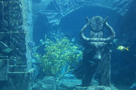 lost city of atlantis - Google Search | Underwater city, Lost city of atlantis, Underwater ruins