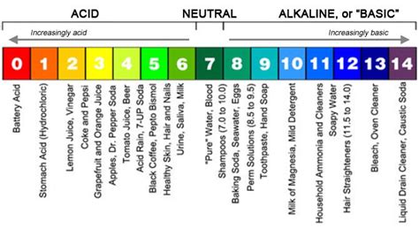 Basic Ph Scale