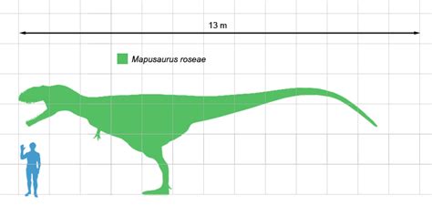 Mapusaurus - Dinopedia - the free dinosaur encyclopedia