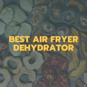 Best Air Fryer Dehydrator Combo: 2023 Top Picks and Buying Guide ...