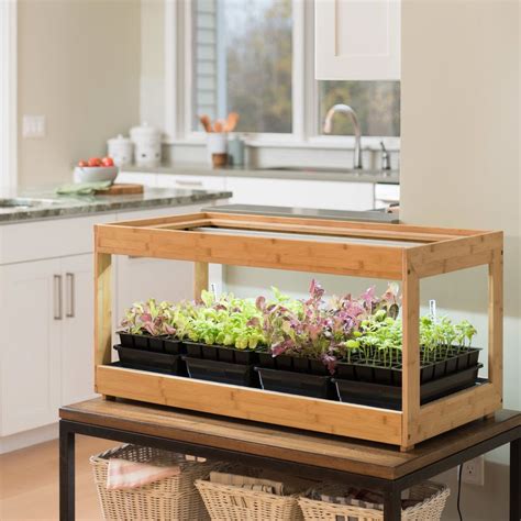 How to Grow an Indoor Herb Garden 2019 Seedlings Indoors, Herbs Indoors, Indoor Greenhouse ...