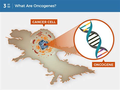 What Is Cancer? - NCI