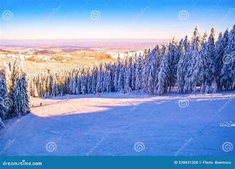 Carpathian Mountains in Winter in Romania, Ski Resort Paltinis, Sibiu ...