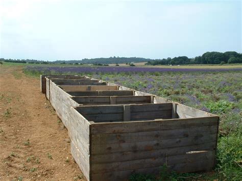 Wooden storage containers for lavender © Andy Peacock cc-by-sa/2.0 :: Geograph Britain and Ireland