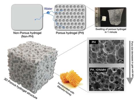 Gels | Free Full-Text | Development of Natural Active Agent-Containing Porous Hydrogel Sheets ...