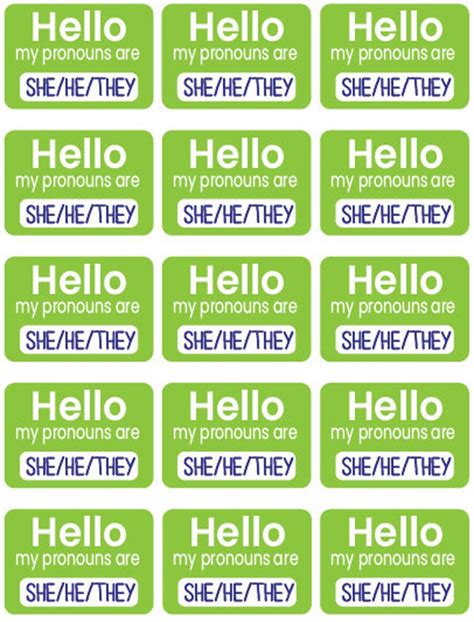 LGBTQ Pronouns Stickers Hello My Pronouns Are Vinyl Stickers - Etsy