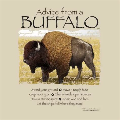 Buffalo Puns