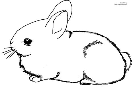 Cute Bunny Coloring Pages To Print - Coloring Home