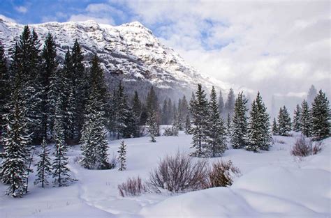 Winter in Lamar Valley | Lamar valley, Winter landscape, Winter