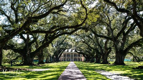 Oak Alley Plantation Oaks And Mansion Entrance In Plantation Country | HI Travel Tales