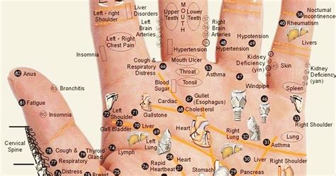 Press These Reflexology Points On Your Hand And Relieve Any Type Of Pain