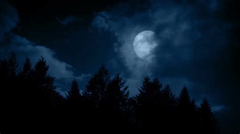 Large Full Moon Above The Forest, Stock Footage | VideoHive