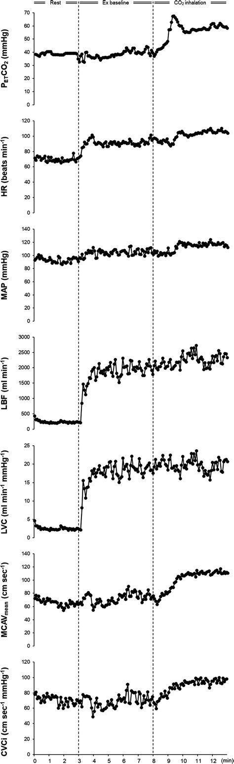 Hypercapnia elicits differential vascular and blood flow responses in ...