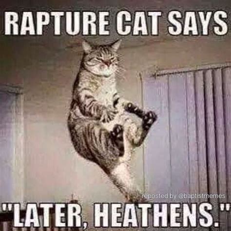 Left Behind, Will There be a Rapture? | Funny animal quotes, Funny animal memes, Funny animals